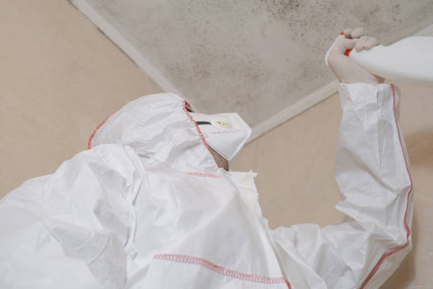 Best Mold Cleaning Services  in Laverne, OK